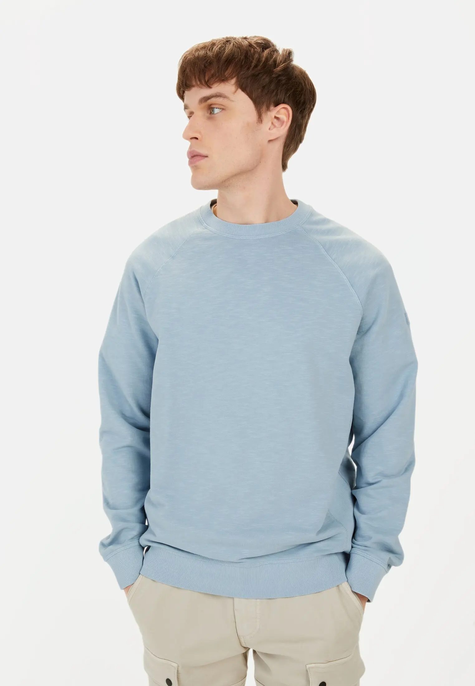 Herren Sweatshirt aus reiner Baumwolle Blau getragen vorn