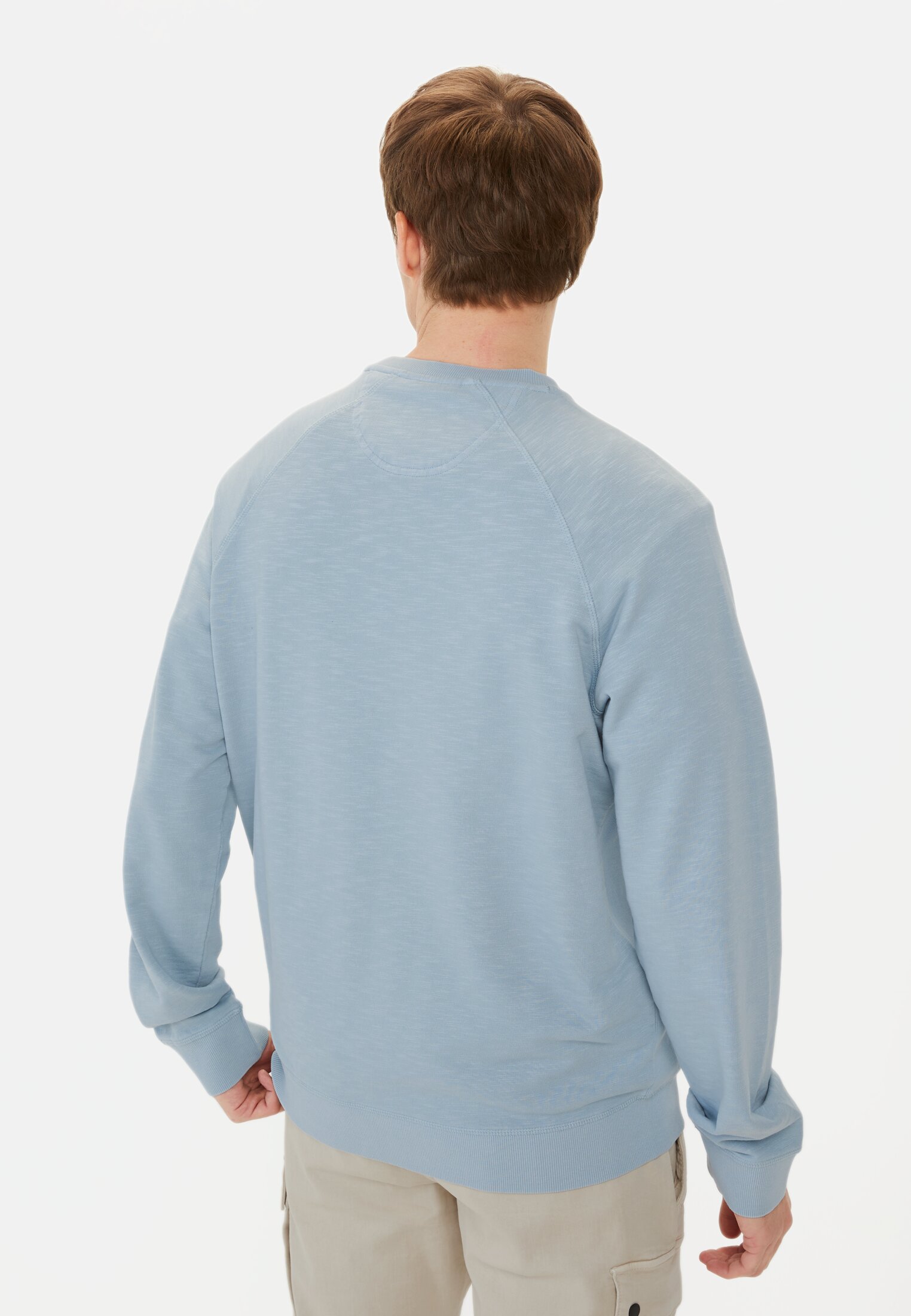 Herren Sweatshirt aus reiner Baumwolle Blau getragen hinten