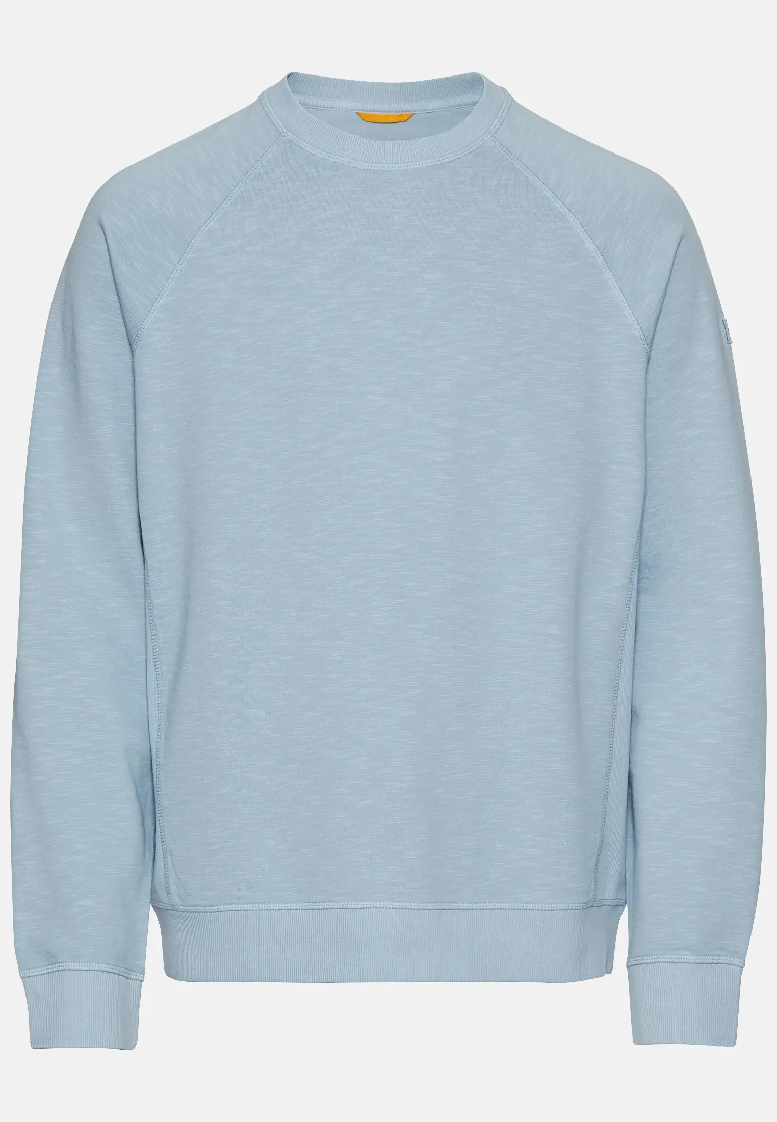 Herren Sweatshirt aus reiner Baumwolle Hellblau