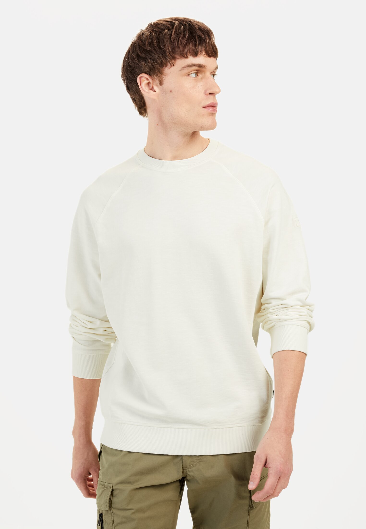 Herren Sweatshirt aus reiner Baumwolle Beige getragen vorn